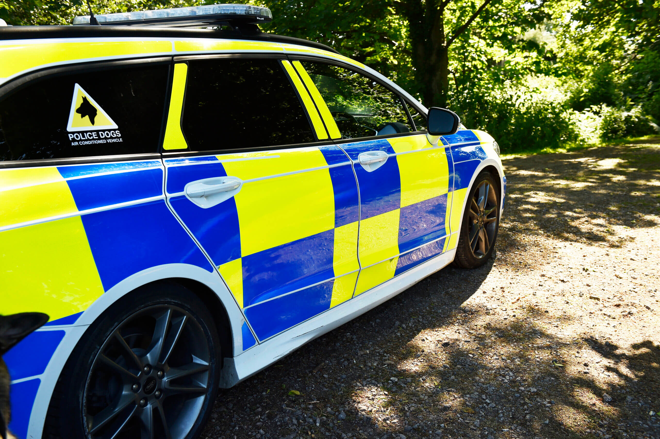 Sideshot of police car in forest