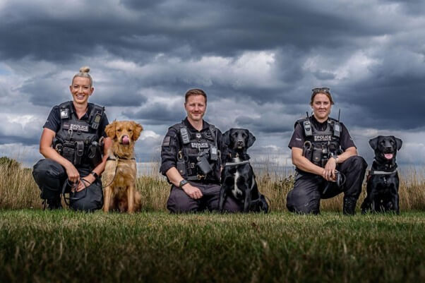 Three Thames Valley Police officers knelt down next to three of the trained spiking dogs